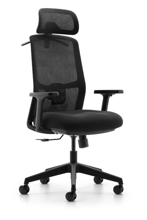 Seating Source  Black Frame Deluxe Task Chair with Headrest J310B-Headrest