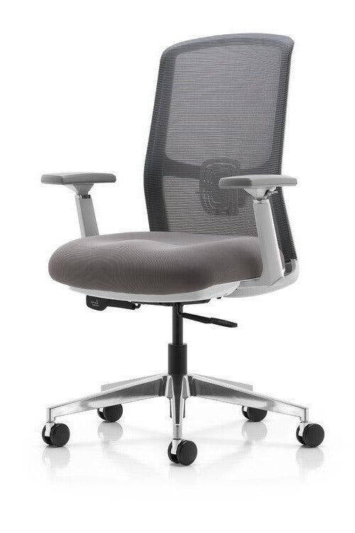 Seating Source Frame Deluxe Task Chair J310