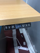 USED Classic Oak Color Sit Stand