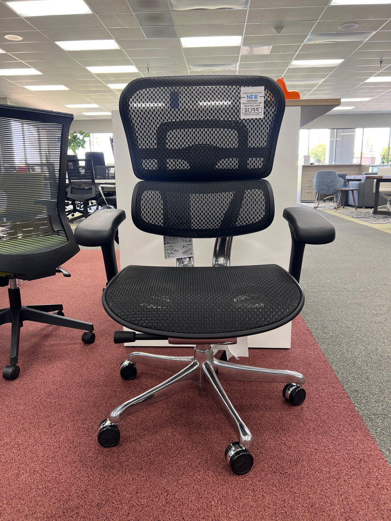 Ergohuman Gen 2 Mesh Chair