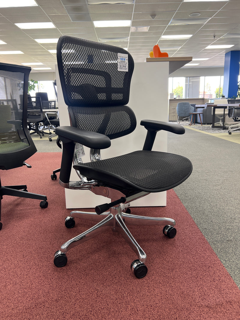 Ergohuman Gen 2 Mesh Chair