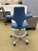 HAG Capisco 8106 Classic Saddle Seat