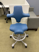 HAG Capisco 8106 Classic Saddle Seat