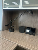 EleganceFlex Work Lamp