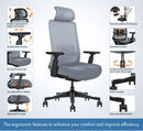 New Sinclair Boo Align Task Chair $299