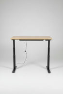 USED Sit-Stand Desk 48" x 28.5" – Aspen Finish