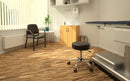 Boss Medical Spa Professional Adjustable Stool - Product Photo 7