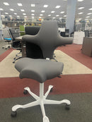 HAG Capisco Ergonomic Chair