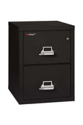 FireKing 2 Drawers Letter  25 - 25-Inch Deep High-Security Vertical File - 2-1825-C