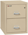 FireKing 2 Drawers Legal  25 - 25-Inch Deep High-Security Vertical File - 2-2125-C