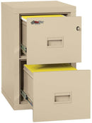 FireKing 2 Drawers Let./Leg. 22" Depth Turtle - Space-Saving Vertical File Cabinet - 2R1822-C