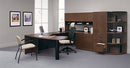 Global Adaptabilities Office Desks