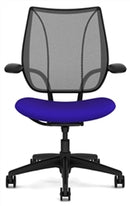 Liberty Conference/Task Office Chair: Torque - Aluminum + Black w/ Black Trim + Standard Foam Seat
