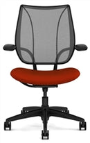 Liberty Conference/Task Office Chair: Torque - Aluminum + Black w/ Black Trim + Standard Foam Seat