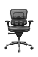 Eurotech Chairs Product Photo