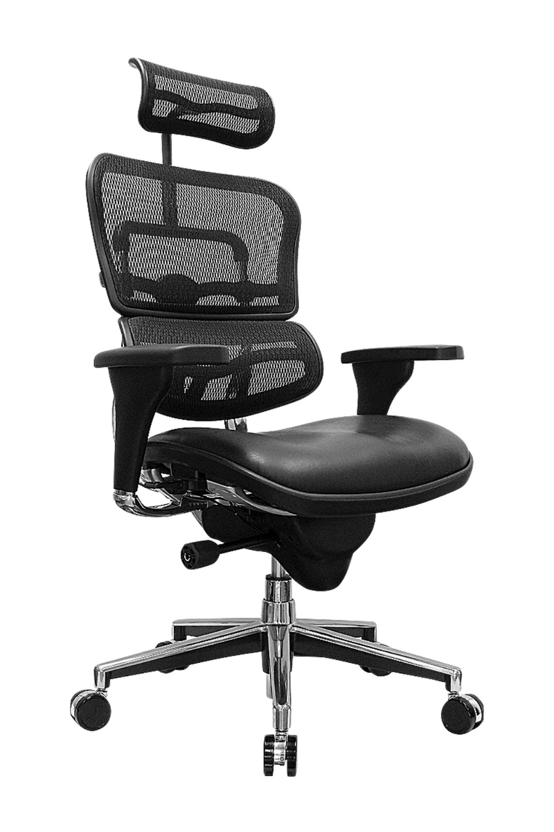 Eurotech Racer Chair Eurotech Ergo High Back Leather-Mesh Black.
