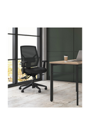 HON product image