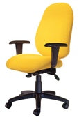 TR2 Ergonomic Office Chairs