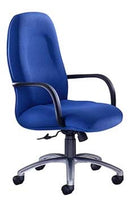 TR2 Ergonomic Office Chairs