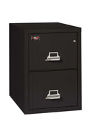 FireKIng 2 Drawers Letter 31" Safe In A File - 2-1929-2