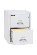 FireKing 2 Drawers Legal  25 - 25-Inch Deep High-Security Vertical File - 2-2125-C