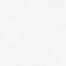 Flash Furniture Chairs Product Photo