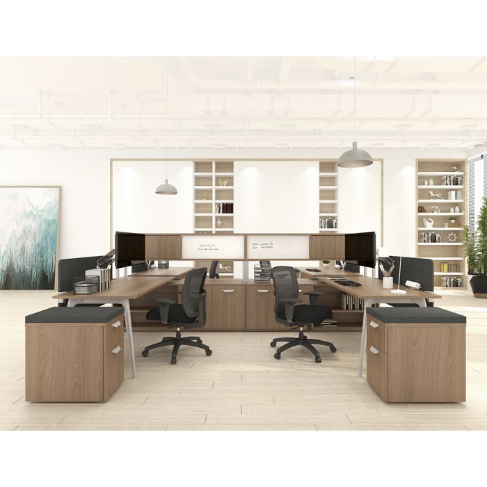 Friant MidZone Mid Back Task Chair BJ- MM2242BT