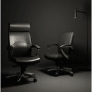 FRIANT Office Chairs Photos